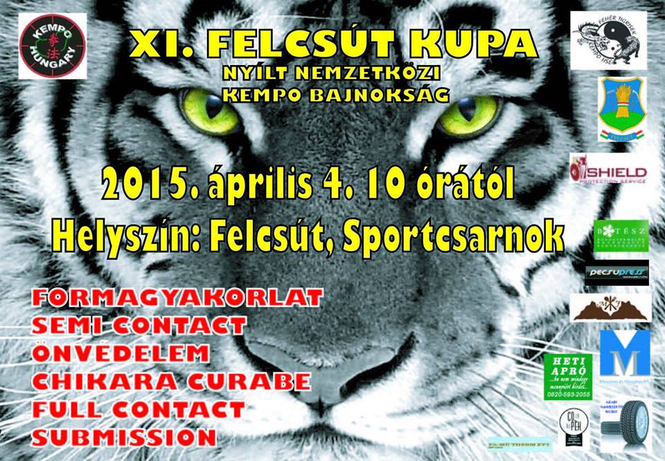 2015 felcsut kupa plakat