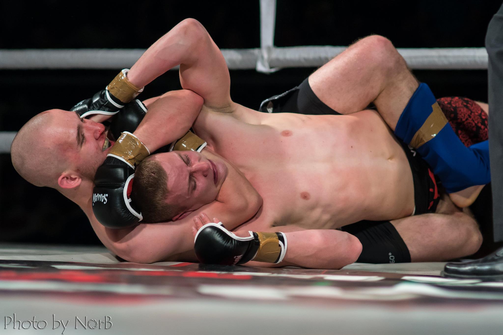 2015 wmmaa gyula