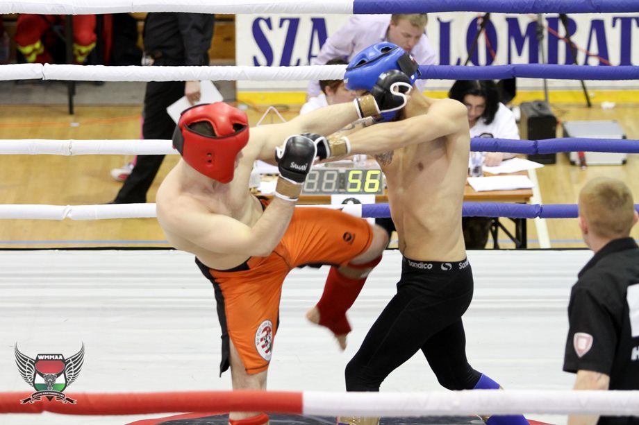 IMG 4529