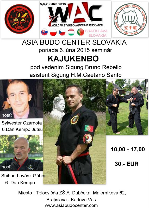 Plakat Kajukenbo