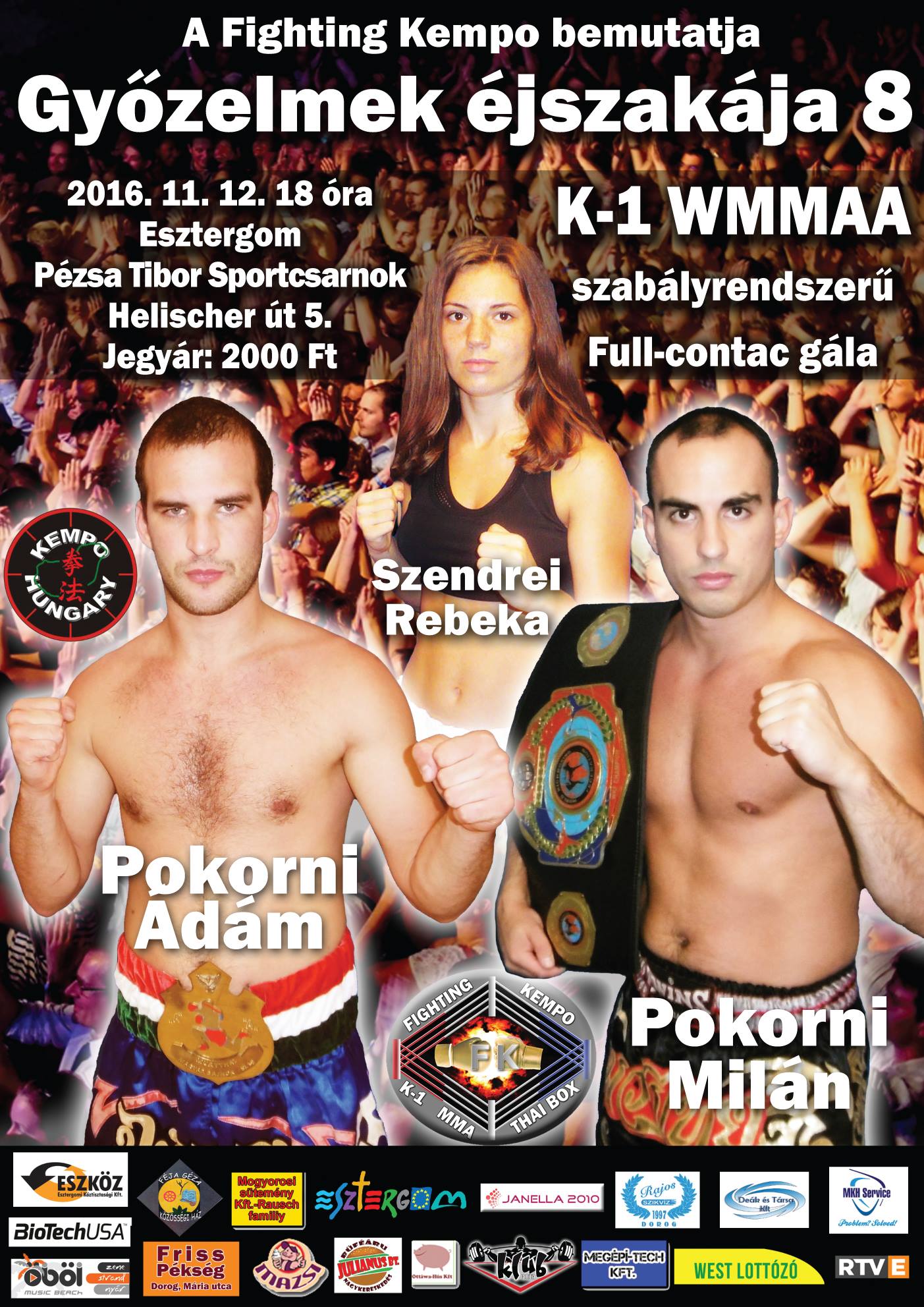 2016 gyozelmek ejszakaja plakat