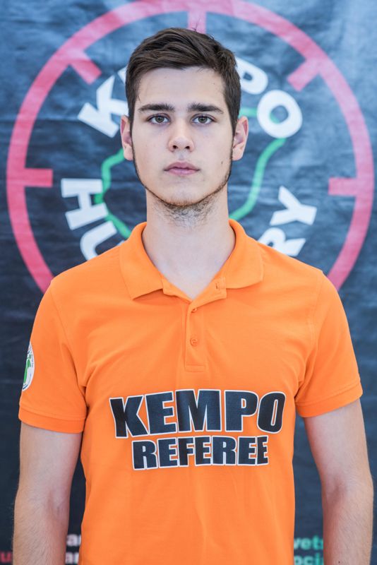 fulop mark