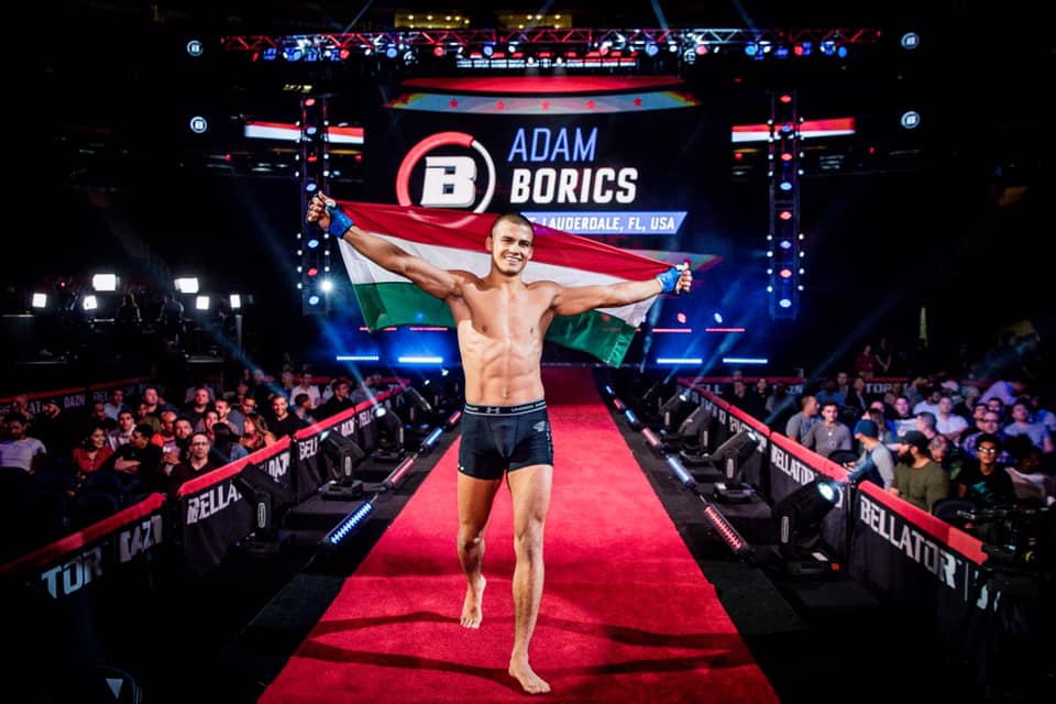 borics adam bellator kuzdosport mma 2